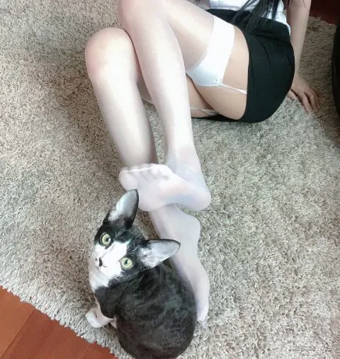 51酱 写真合集[19套][持续更新]